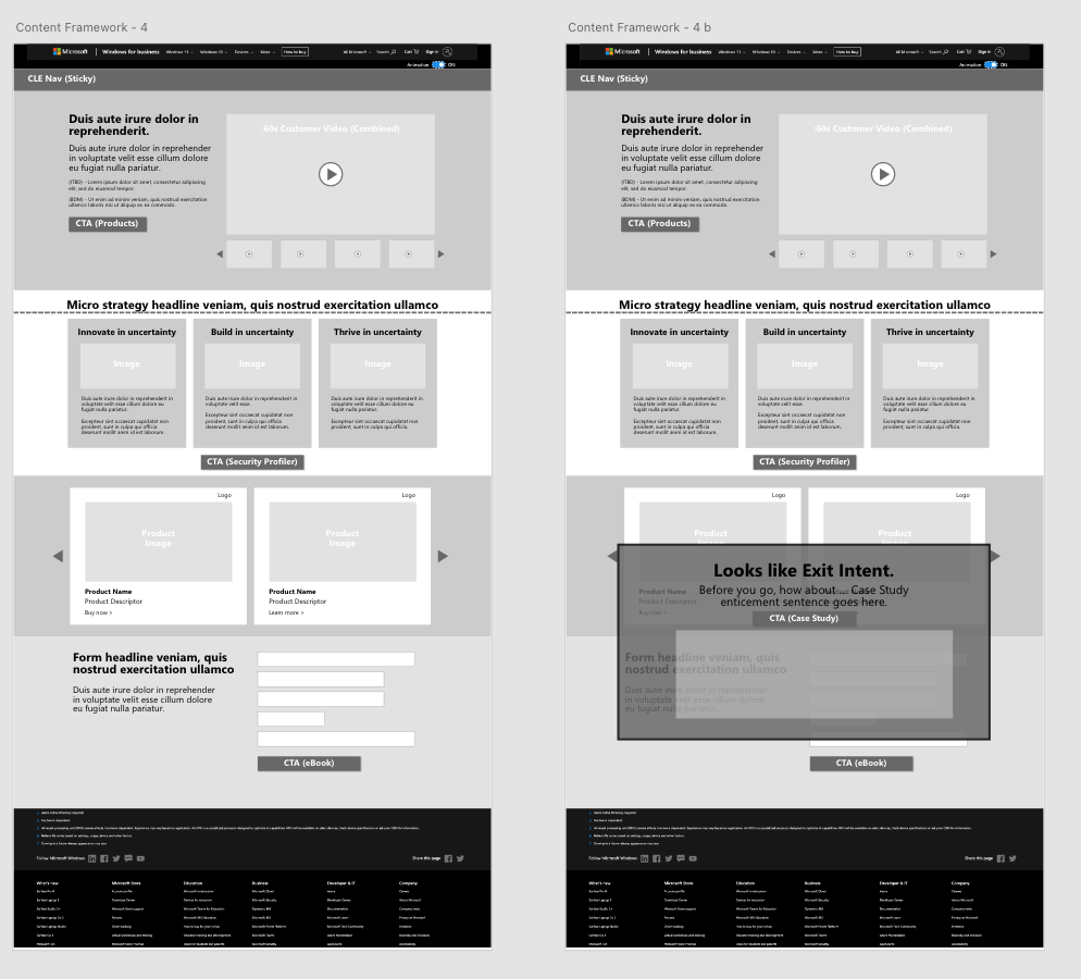 189203_Microsoft_LandingPage_Wireframes