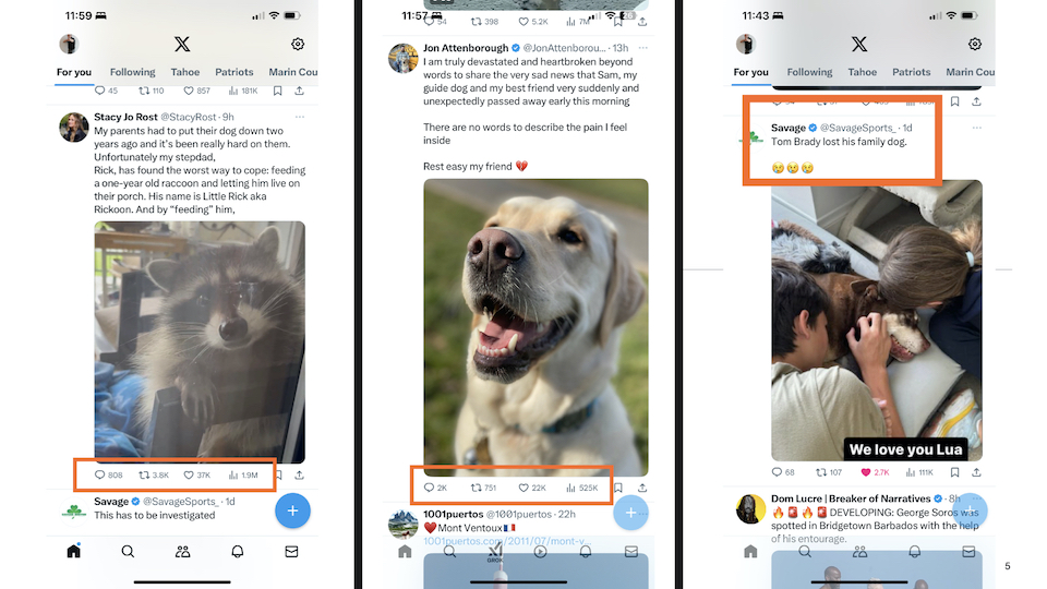 PtR-Deck-Partial.005